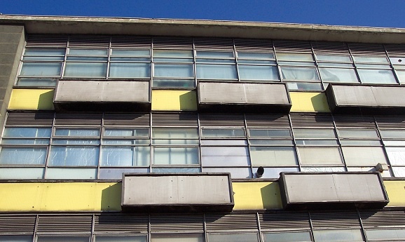 Bird Control and Netting